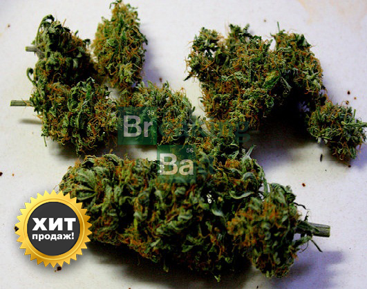 Барнаул: бошки (шишки), АК-47, Белая вдова